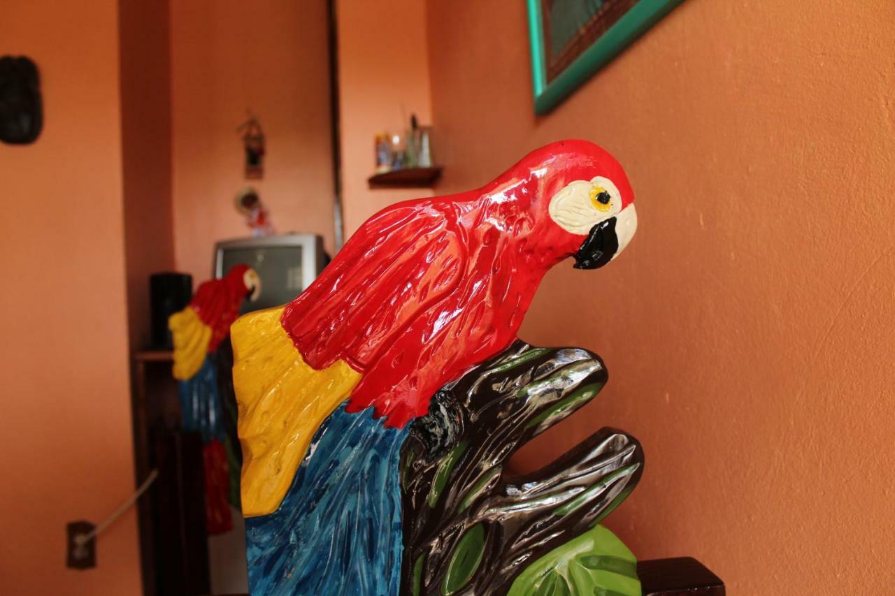 Cancun Guest House Luaran gambar